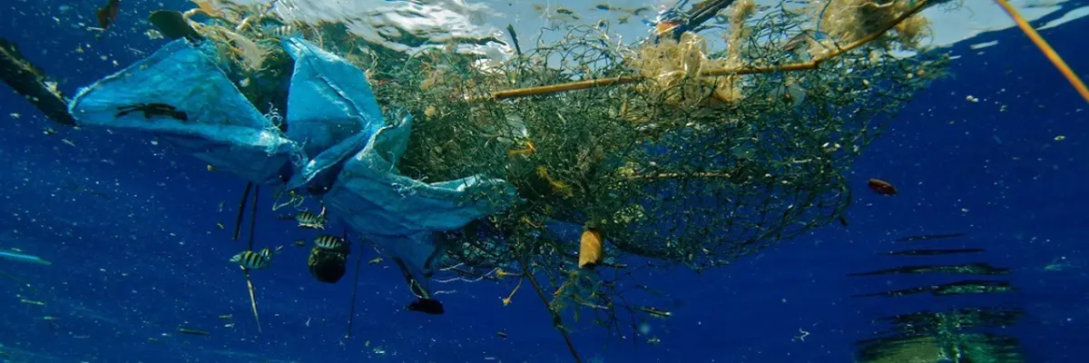 GIORNATA ECOLOGICA IN MARE A BELLARIA IGEA MARINA