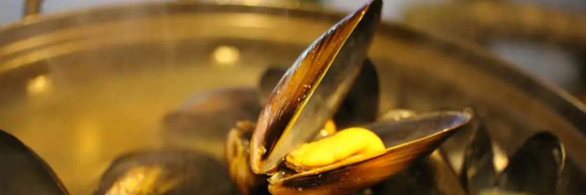 UN MARE DI COZZE