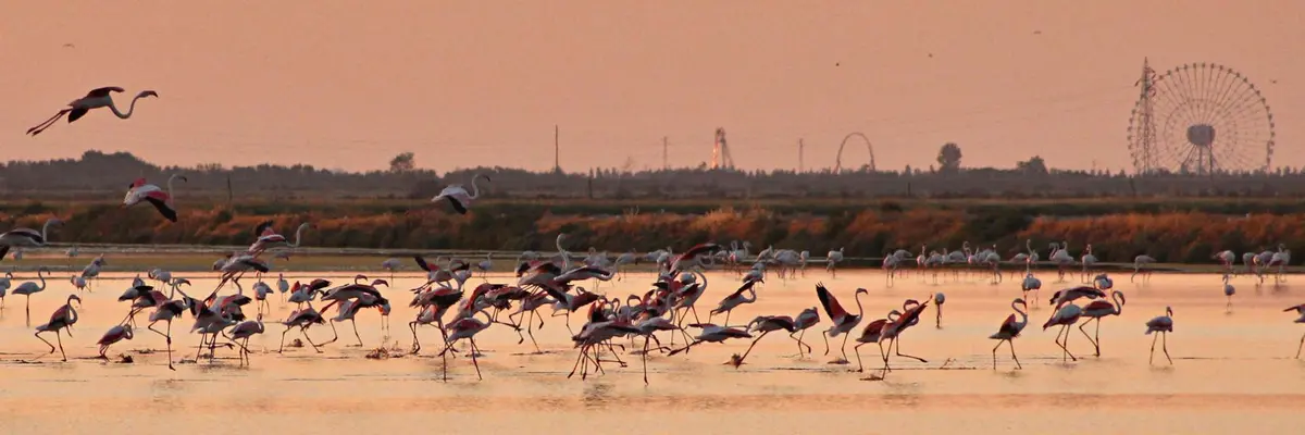 Sunsets in salina, a magical game of mirrors