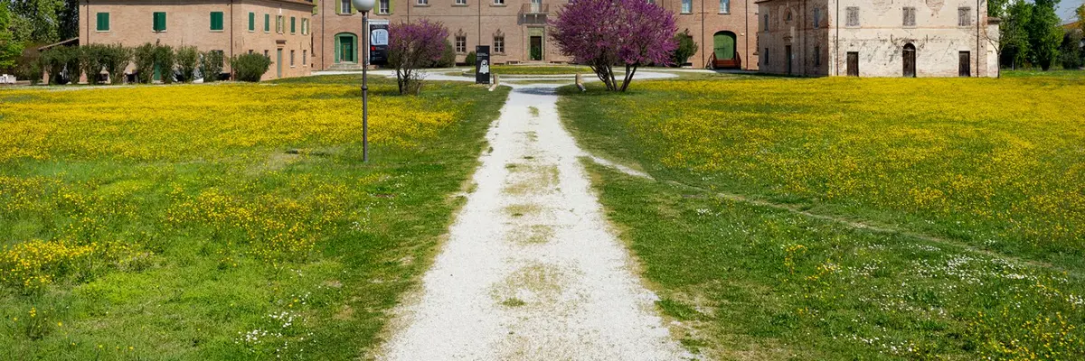 Torlonia Winery - Poésie, théâtre et vin à quelques kilomètres de la mer.