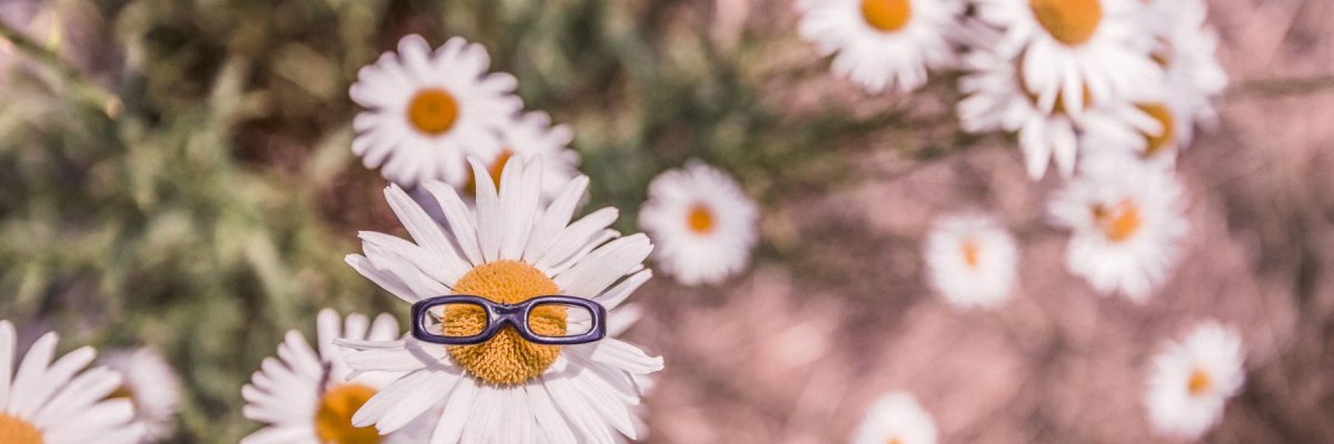 GODITI IL PRIMO SOLE PRIMAVERILE: OFFERTA DEL 25 APRILE "FAI IL PONTE CON NOI"! GODITI IL PRIMO SOLE PRIMAVERILE: OFFERTA DEL 25 APRILE "FAI IL PONTE CON NOI"!